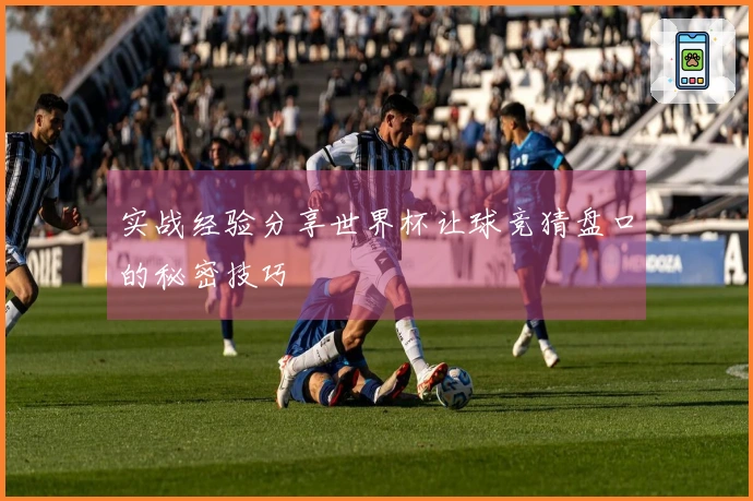 实战经验分享世界杯让球竞猜盘口的秘密技巧