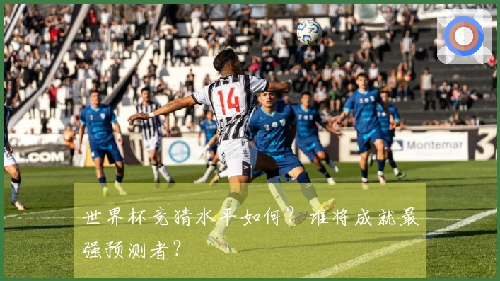 世界杯竞猜水平如何？谁将成就最强预测者？