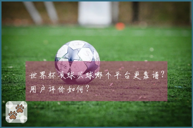世界杯滚球买球哪个平台更靠谱？用户评价如何？