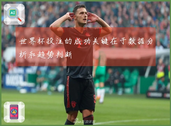 世界杯投注的成功关键在于数据分析和趋势判断