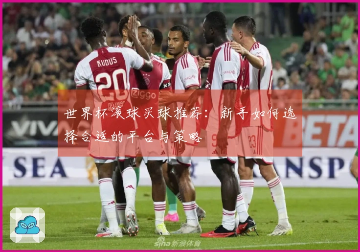 世界杯滚球买球推荐：新手如何选择合适的平台与策略