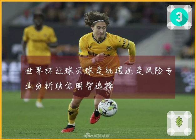 世界杯让球买球是机遇还是风险专业分析助你明智选择