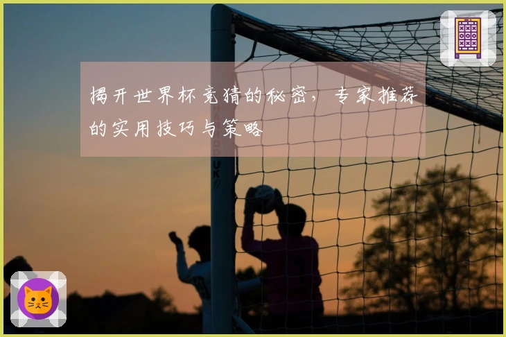 揭开世界杯竞猜的秘密，专家推荐的实用技巧与策略