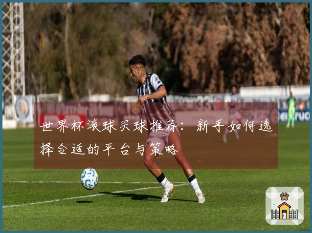 世界杯滚球买球推荐：新手如何选择合适的平台与策略