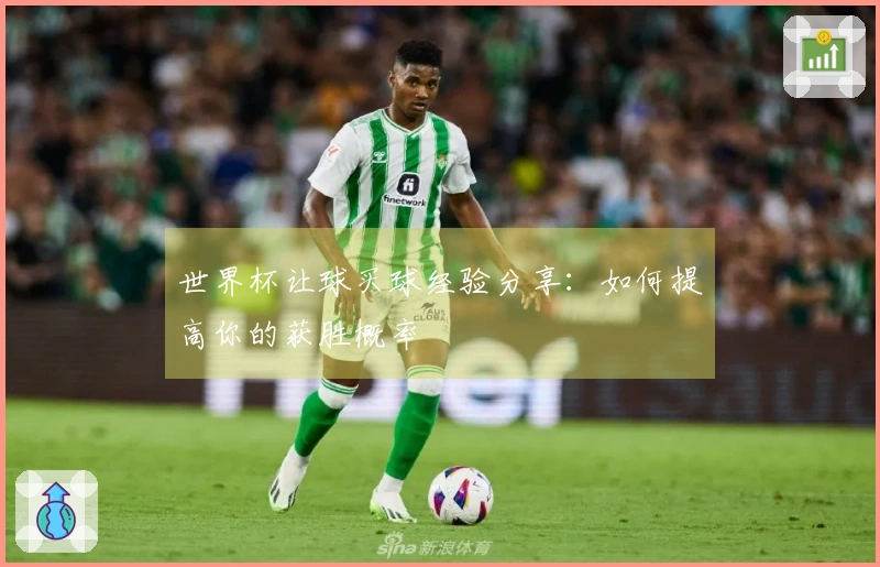 世界杯让球买球经验分享：如何提高你的获胜概率