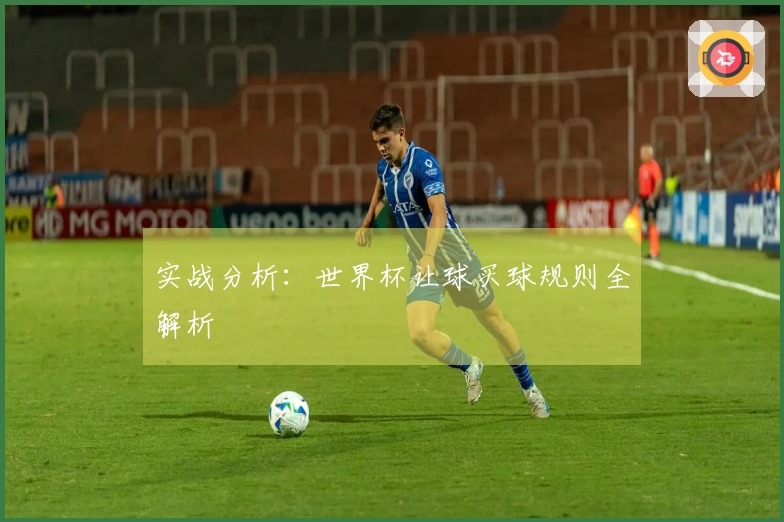 实战分析：世界杯让球买球规则全解析