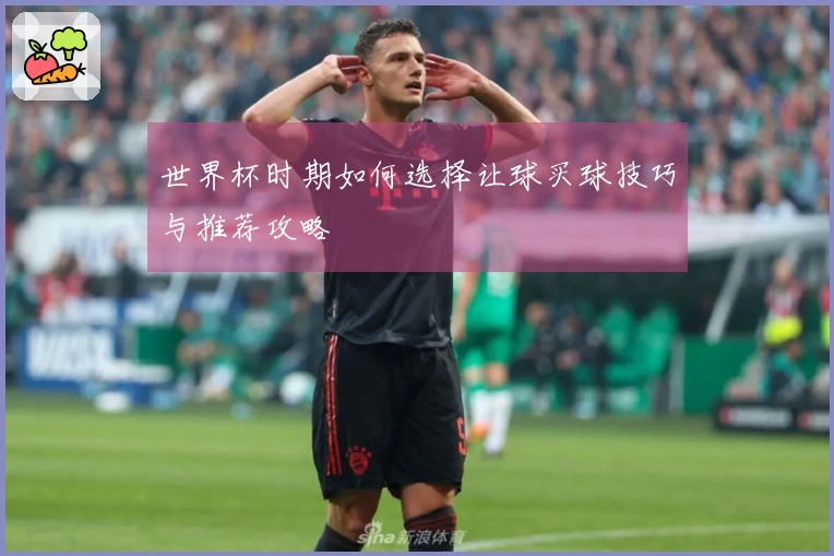 世界杯时期如何选择让球买球技巧与推荐攻略