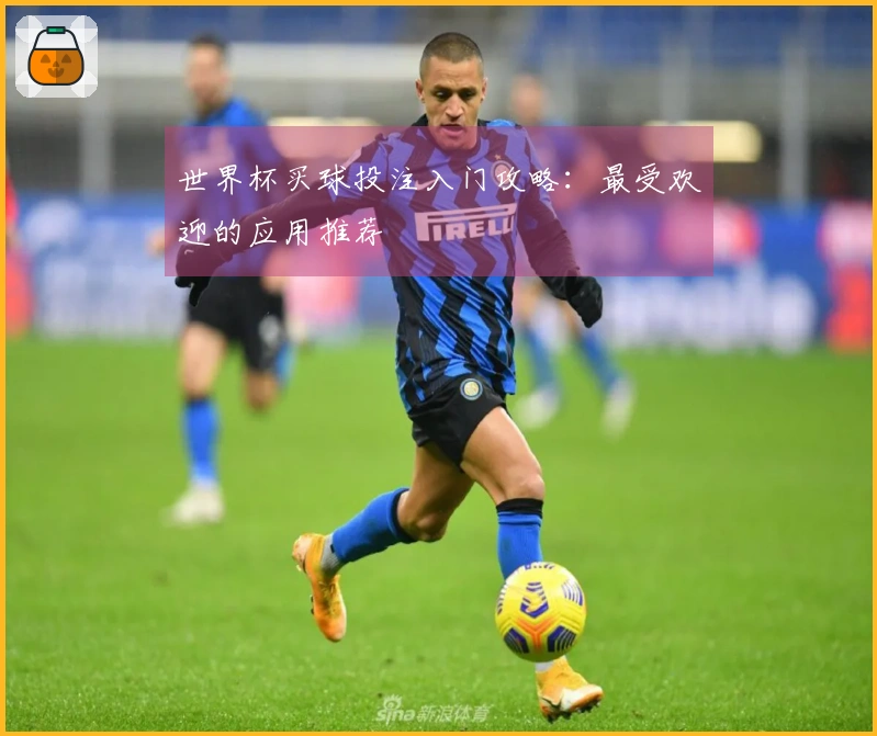 世界杯买球投注入门攻略：最受欢迎的应用推荐