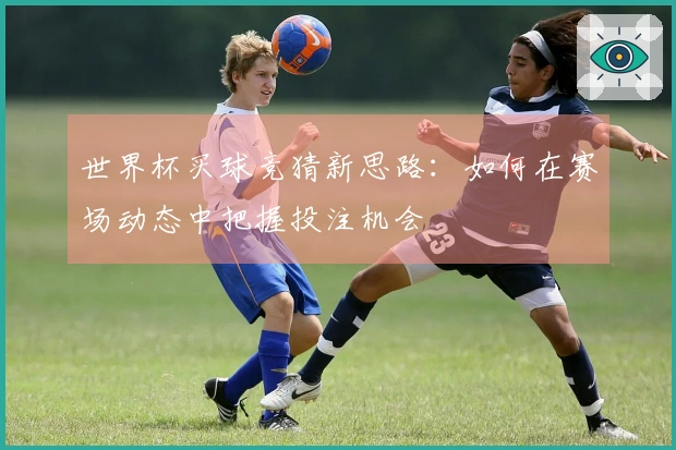 世界杯买球竞猜新思路：如何在赛场动态中把握投注机会
